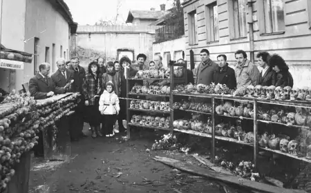 Ексклюзивне відео розкопок Жертв НКВС в м. Дрогобич в 1989 році. Частина перша