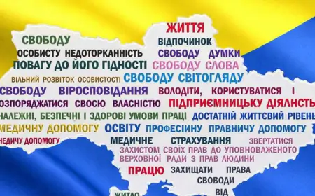 Кожен має право...